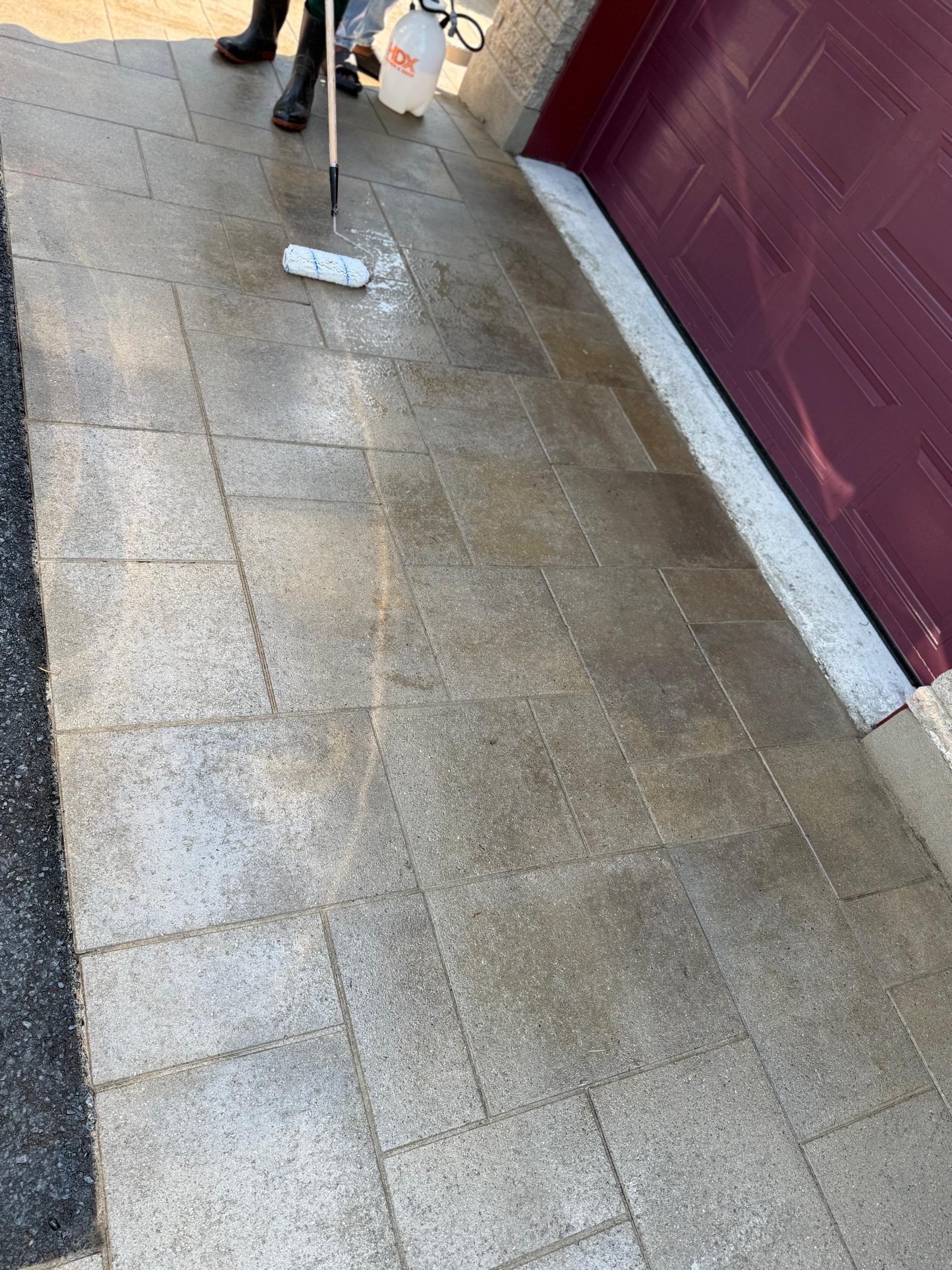 a9ee64b5-55e8-4e1f-8e04-8755ff14e0ad